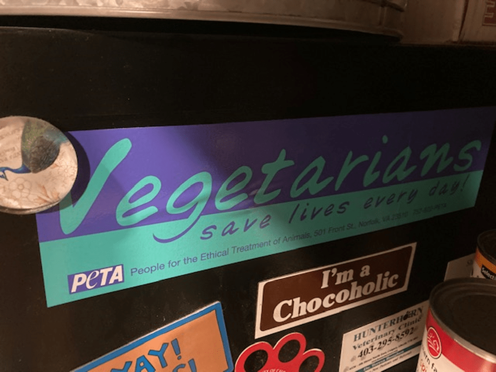 Our Stint with Vegetarianism: Part 1