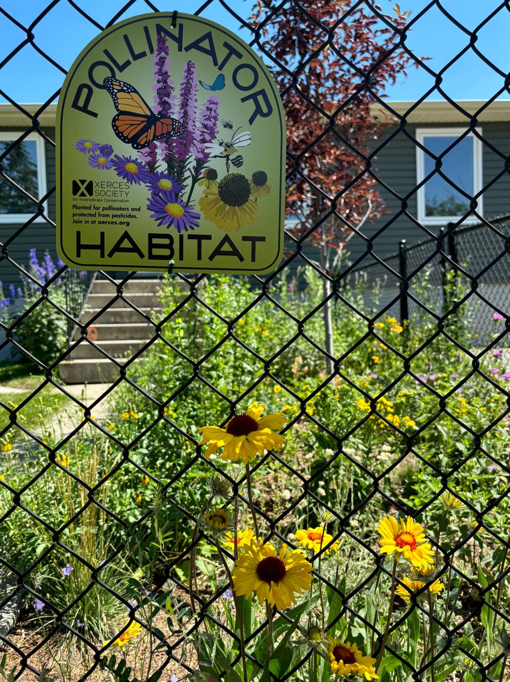 Our Pollinator Garden